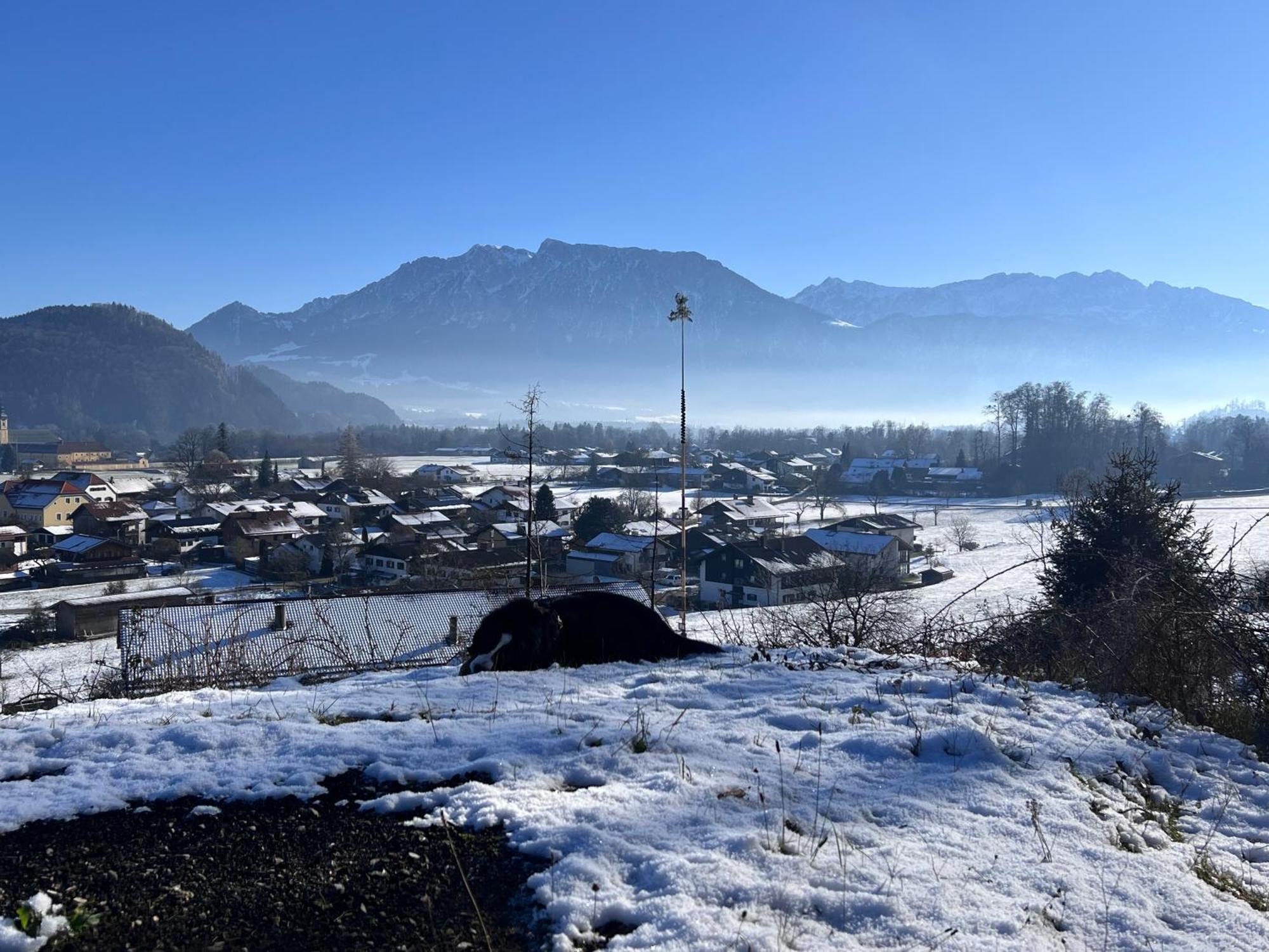 Ferienwohnung Bergwelten Oberaudorf Exteriér fotografie